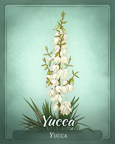 Yucca Badge - A Way With Words