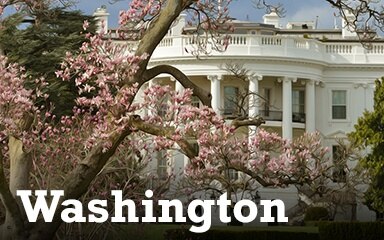 Washington DC Badge - Cross Country Adventure