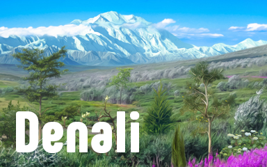 Denali Badge - Vanishing Trail