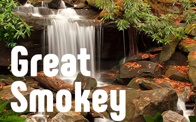 Great Smokey Badge - Vanishing Trail
