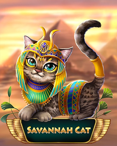 Savannah Cairo Cat Badge - Pogo™ Slots