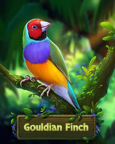 Gouldian Finch Fancy Feathers Badge - Jungle Gin HD