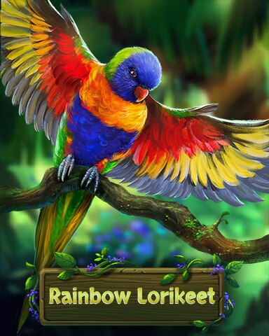 Rainbow Lorikeet Fancy Feathers Badge - Jungle Gin HD