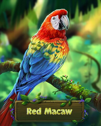 Red Macaw Fancy Feathers Badge - Jungle Gin HD