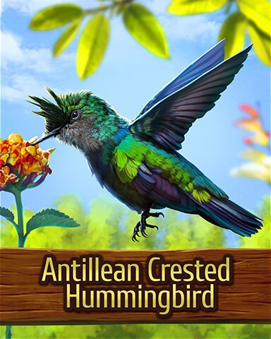 Antillean Crested Hummingbird Badge - Mahjong Garden HD