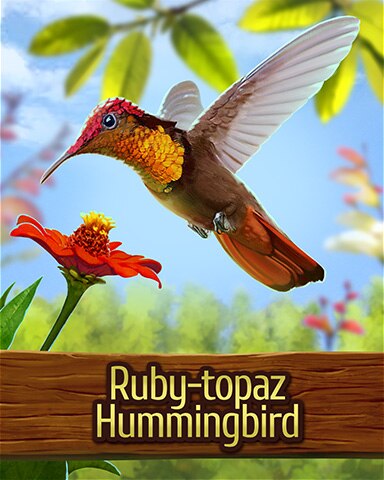 Ruby-topaz Hummingbird Badge - Mahjong Garden HD