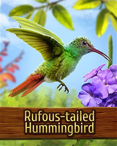 Rufous-tailed Hummingbird Badge - Mahjong Garden HD