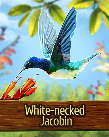 White-necked Jacobin Hummingbird Badge - Mahjong Garden HD White-necked Jacobin Hummingbird Badge - Mahjong Garden HD