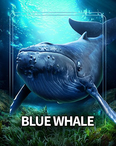 Blue Whale Sea Giants Badge - Mahjong Safari HD