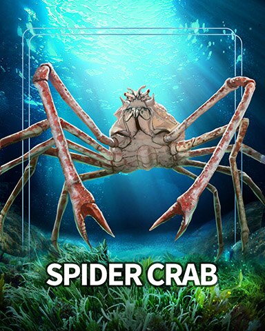 Spider Crab Sea Giants Badge - Mahjong Safari HD