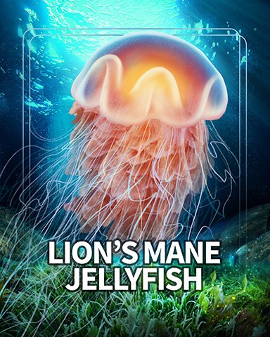 Jellyfish Sea Giants Badge - Mahjong Safari HD