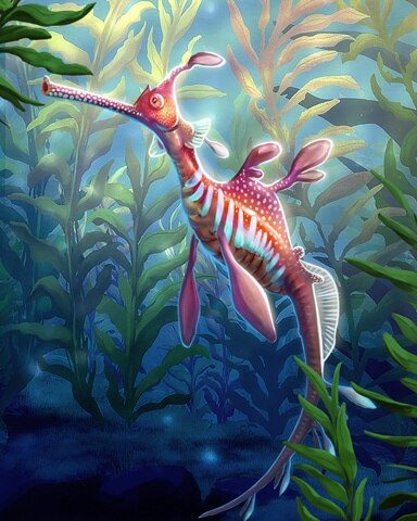 Pink Weedy Seadragons Badge - Quinn's Aquarium Pink Weedy Seadragons Badge - Quinn's Aquarium