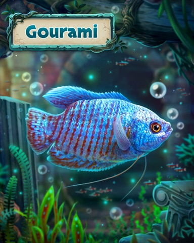 Gourami Atlantean Aquarium Badge - Tri-Peaks Solitaire HD