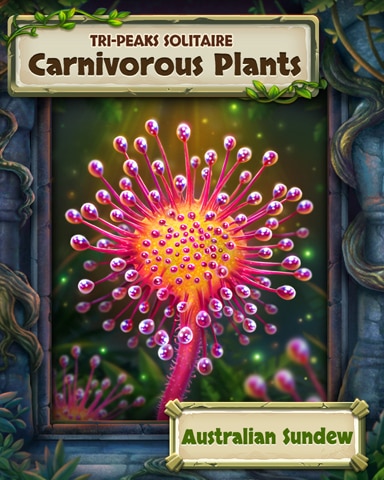 Australian Sundew Carnivorous Plants Badge - Tri-Peaks Solitaire HD