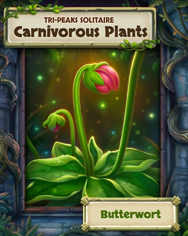 Butterwort Carnivorous Plants Badge - Tri-Peaks Solitaire HD