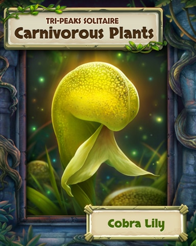 Cobra Lily Carnivorous Plants Badge - Tri-Peaks Solitaire HD