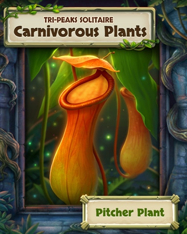 Pitcher Plant Carnivorous Plants Badge - Tri-Peaks Solitaire HD