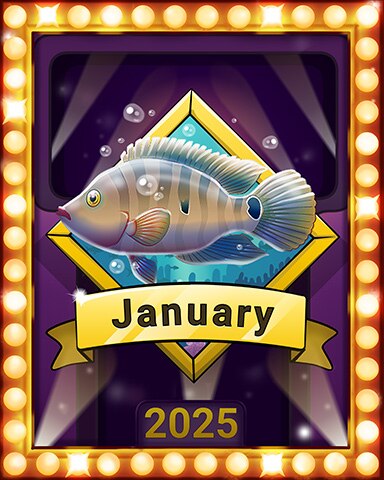 New Year Splash Fest Lap 3 Badge - Quinn's Aquarium