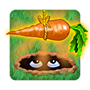 Pogo Eye Luv Carrots Badge