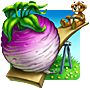 Pogo The Big Turnip Badge