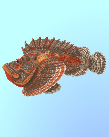 Stonefish Sighting Badge - Quinn's Aquarium