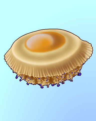 Floating Egg Badge - Quinn's Aquarium