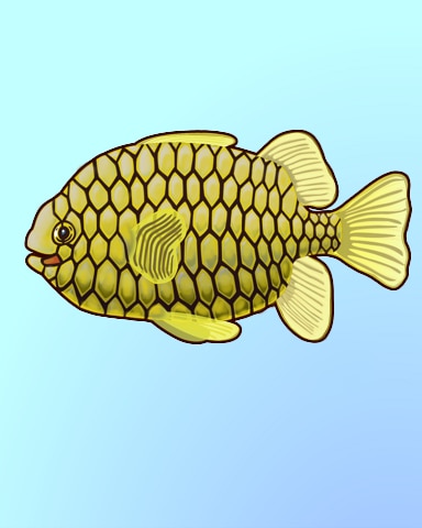 Penned Pineapplefish Badge - Quinn's Aquarium