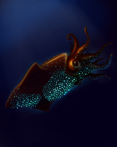 Shining Squid Badge - Quinn's Aquarium