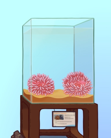 Pink Pals Badge - Quinn's Aquarium