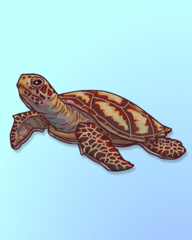 Turtle, Up! Badge - Quinn's Aquarium