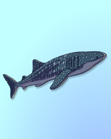 Whale I'll Be, It's A Shark! Badge - Quinn's Aquarium