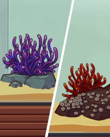 Natural Anemones Badge - Quinn's Aquarium