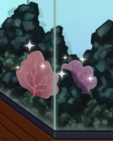 True Fans Badge - Quinn's Aquarium