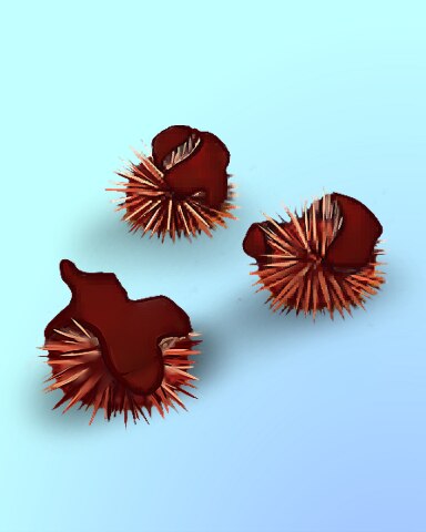 See? Urchin! Badge - Quinn's Aquarium See? Urchin! Badge - Quinn's Aquarium
