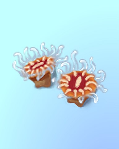 A Couple Of Cups Badge - Quinn's Aquarium
