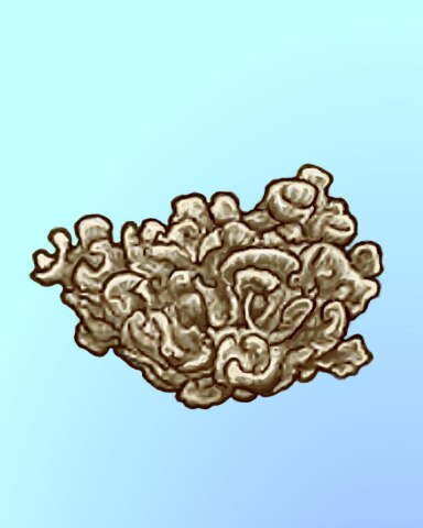 Not-So-Tall Tail Badge - Quinn's Aquarium