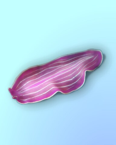 Just Like Candy Badge - Quinn's Aquarium Just Like Candy Badge - Quinn's Aquarium