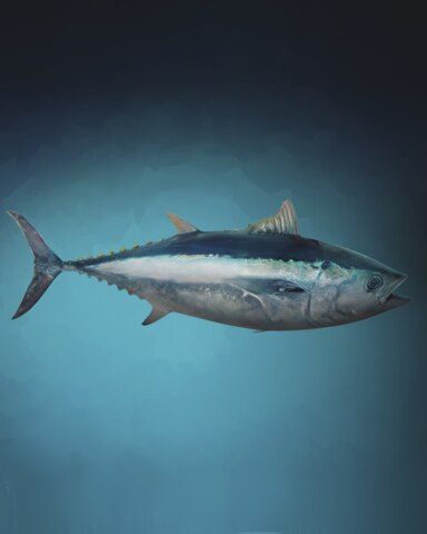 Terrific Tuna Badge - Quinn's Aquarium