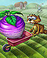 Turnip Trot Badge - Word Whomp HD