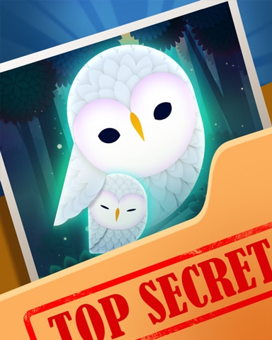 Pogo Little Owlet Top Secret Badge