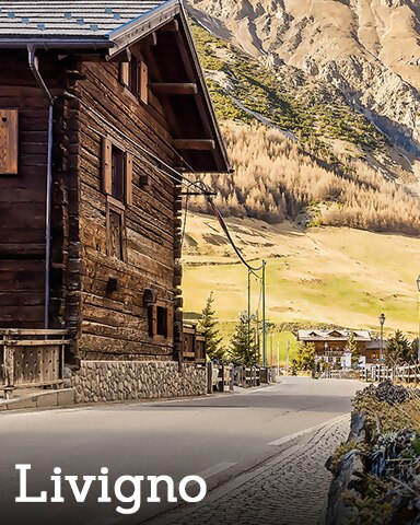 Livigno Badge - Winter Wonderland