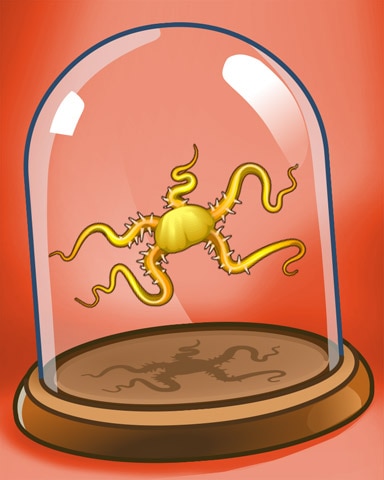 Brittle Star Badge - Quinn's Aquarium Brittle Star Badge - Quinn's Aquarium