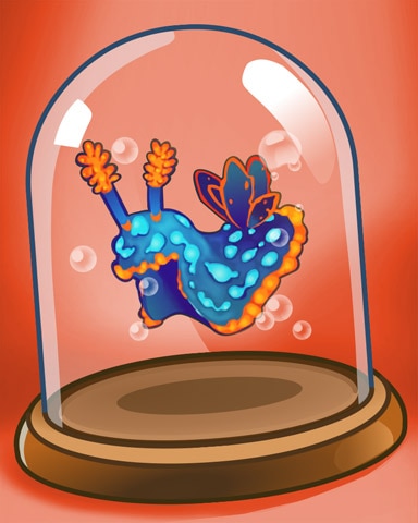 Colorful Nudibranch Badge - Quinn's Aquarium