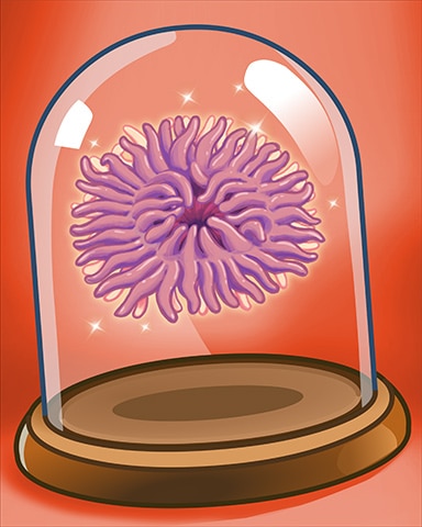 Sea Anemone Badge - Quinn's Aquarium